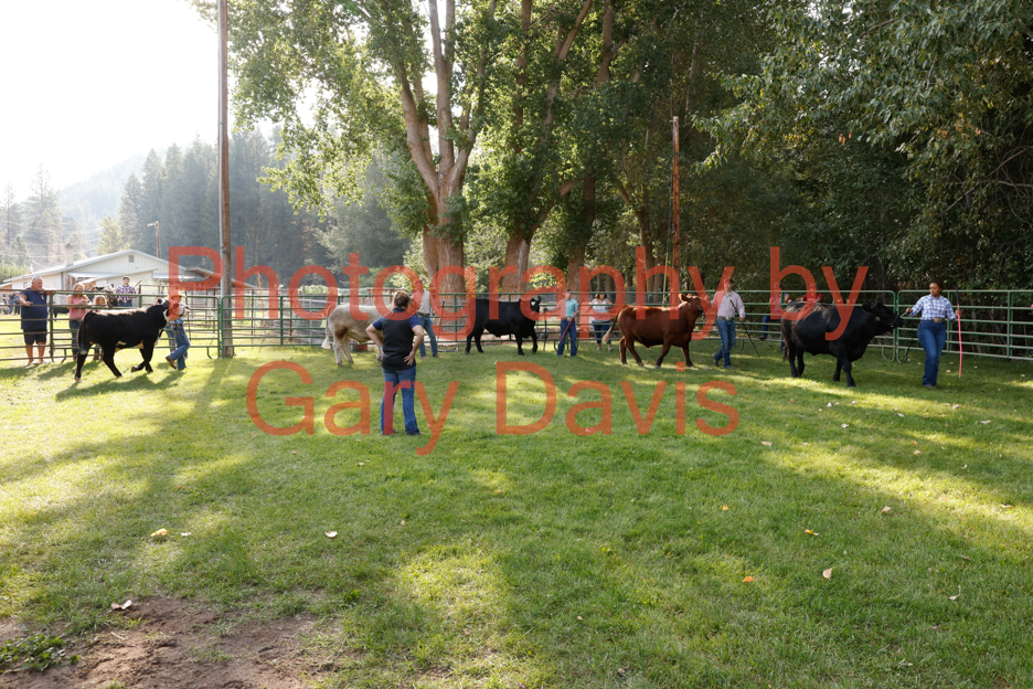 _MG_0035 (2)